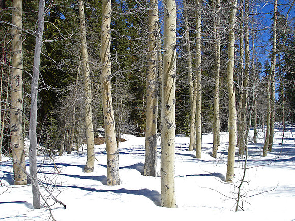 DSC00686_edited-2
