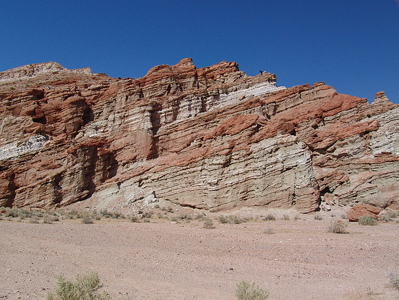 DSC01518_edited