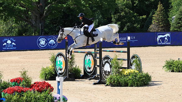 Flintfields Horse Park