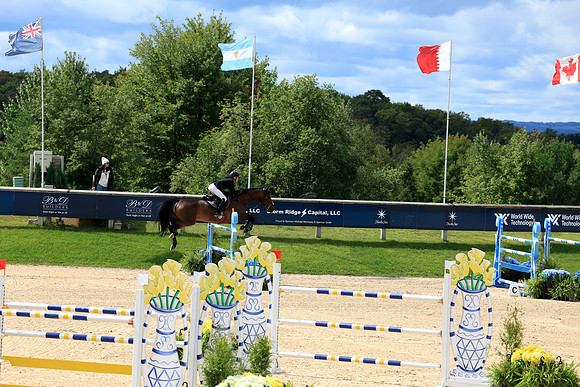 Flintfields Horse Park