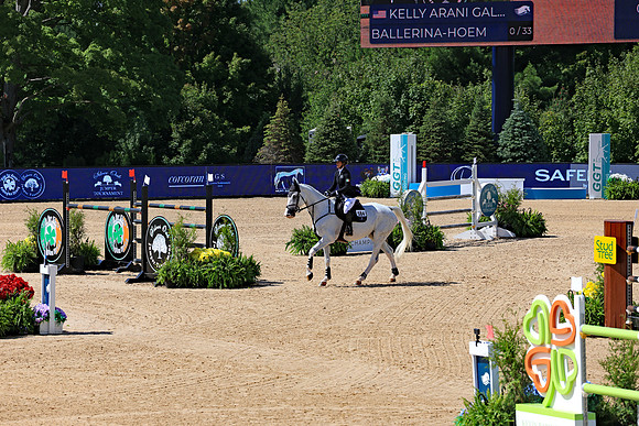 Flintfields Horse Park