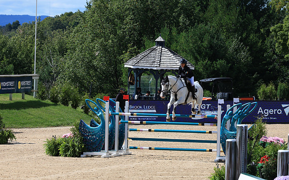 Flintfields Horse Park
