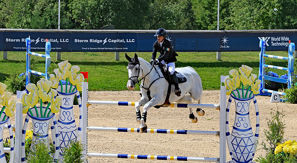 Flintfields Horse Park