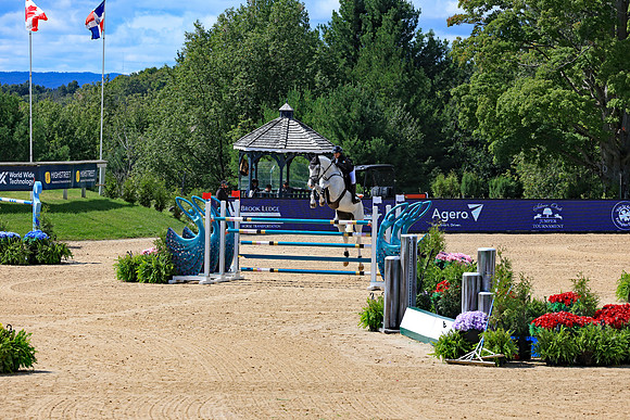 Flintfields Horse Park