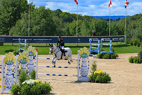 Flintfields Horse Park