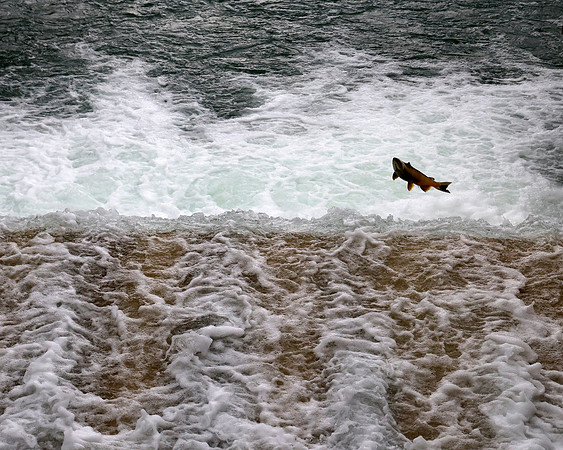 R5M24666e