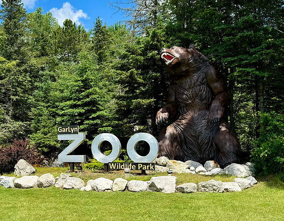 Garlyn Zoo