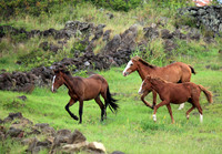 IMG_0183_edited-1