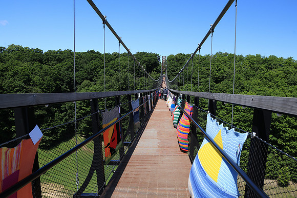 Skybridge Michigan