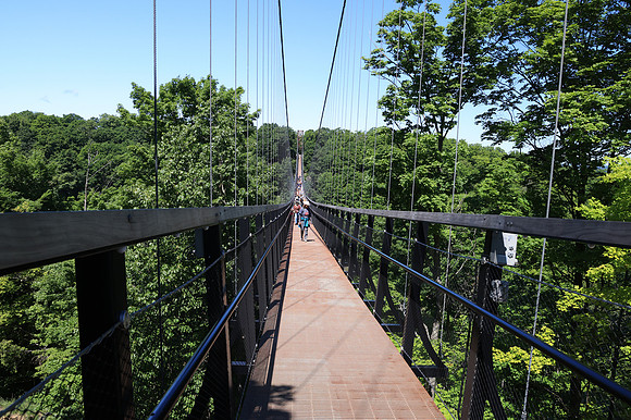 Skybridge Michigan