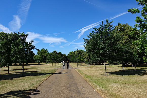 DSC01791e