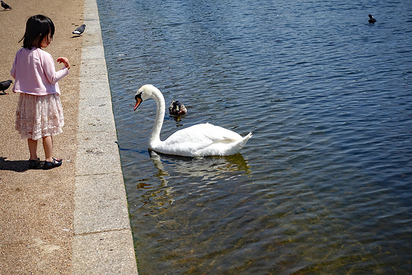 DSC01894e
