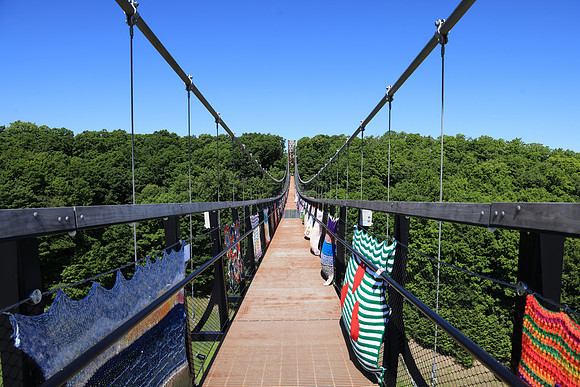 Skybridge Michigan