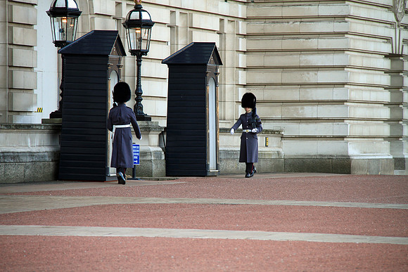 IMG_5284_edited-1