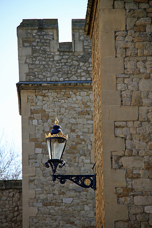 IMG_5739_edited-1