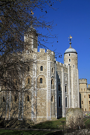 IMG_5768_edited-1