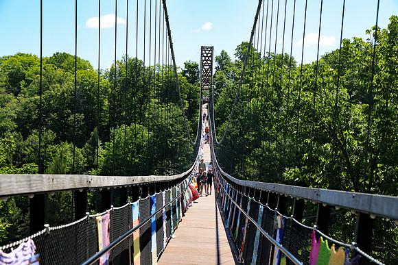 Skybridge Michigan