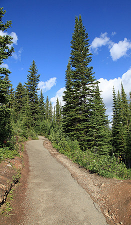 IMG_6986_edited-1