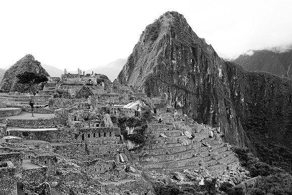 1093 B&W-1093