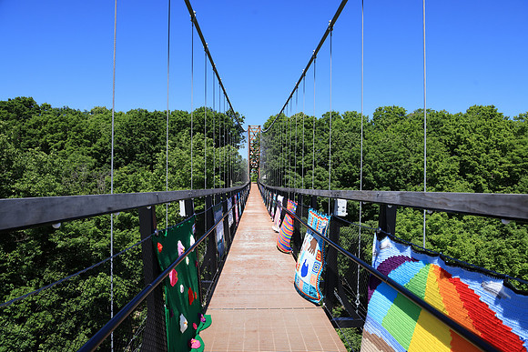 Skybridge Michigan