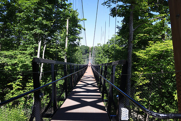 Skybridge Michigan