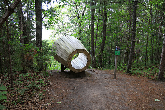 Nature's Megaphone