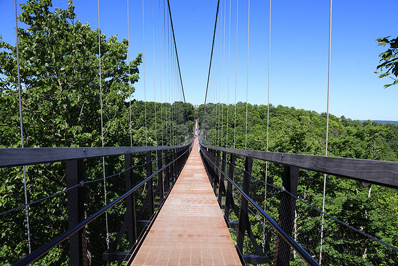 Skybridge Michigan