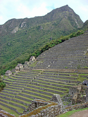 DSC03354e